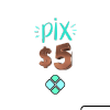 Pix 5