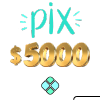 pix 5000