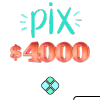 Pix 4000